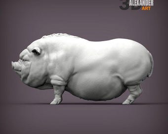Vietnamese pig - UNPAINTED - Alexander3dart