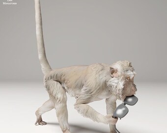 Crab_eating Macaque steals Glasses - UNPAINTED - Animal Den Miniatures