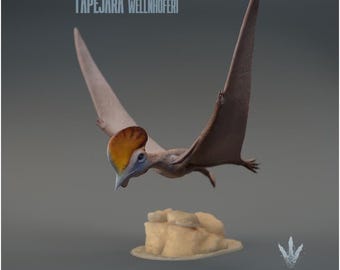 Tapejara wellnhoferi : Flying - UNPAINTED - Miniature Museum