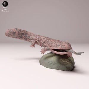 Japanse reuzensalamander aan het eten - ONGEVERFD 3D-harsfiguur - Animal Den Miniatures