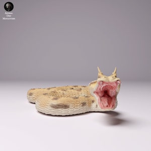May include: A close-up of a beige and brown snake figurine with its mouth open, revealing a pink tongue and teeth. The snake has a textured, scaly surface and is posed in a coiled position.