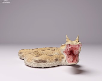 Saharan Horned Viper Attack - UNPAINTED - Animal Den Miniatures