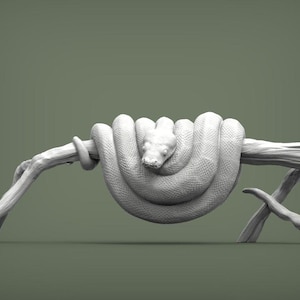 Può includere: Un modello 3D stampato in bianco di un serpente avvolto attorno a un ramo. Il serpente è arrotolato con la testa rivolta verso la fotocamera.