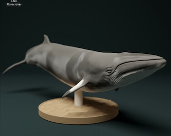 Minke Whale - UNPAINTED - Animal Den Miniatures