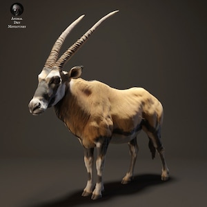 Gemsbok - UNPAINTED - Animal Den Miniatures