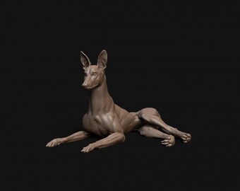 Pharaoh Hound dog laying down- Dino and Dog Miniatures