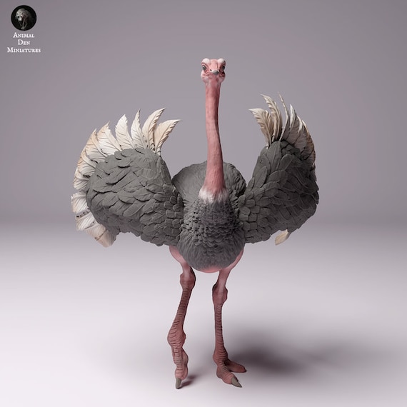 北アフリカのダチョウのオス - 未塗装3D樹脂フィギュア - アニマルデン