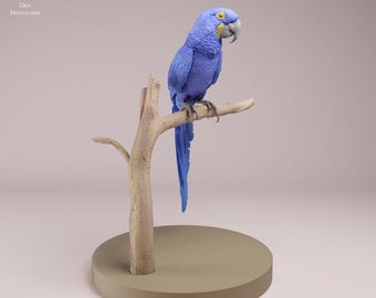 Guacamayo jacinto - Figura de resina 3D sin pintar - Miniaturas para guaridas de animales
