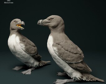 Razorbills - UNPAINTED - Animal Den Miniatures
