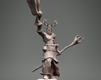 Druid with Owl - Clynche Art