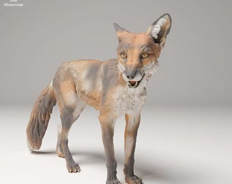 Red Fox- UNPAINTED - Animal Den Miniatures