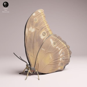 May include: A detailed 3D rendering of a butterfly, showcasing intricate wing patterns in shades of tan and cream. The butterfly's body and legs are a muted yellow-brown. The image is set against a soft, neutral background, highlighting the insect's delicate features.