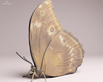 Blue Morpho Butterfly closed wings - UNPAINTED 3D Resin Print - Animal Den Miniatures