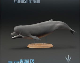 Zygophyseter varolai : Early Sperm Whale - UNPAINTED 3D Resin Figure - Miniature Museum