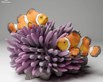 Common Clownfish - UNPAINTED - Animal Den Miniatures
