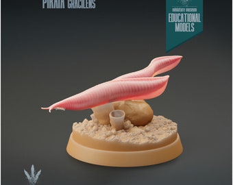 Pikaia gracilens - UNPAINTED - Miniature Museum