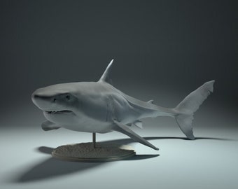 Great White Shark - UNPAINTED - Animal Den Miniatures