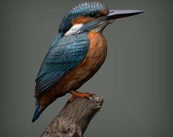 Alexander 3d art