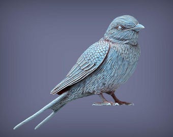 Swallow Bird - UNPAINTED 3D Figure - Alexander3dart