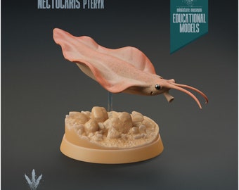 Nectocaris pteryx - UNPAINTED - Miniature Museum