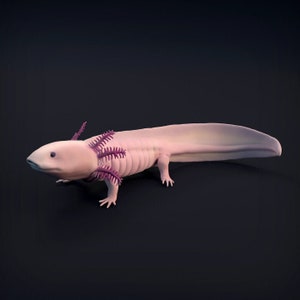 Axolotl - UNPAINTED - Animal Den Miniatures