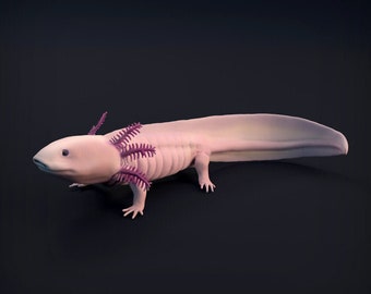 Axolotl - UNPAINTED - Animal Den Miniatures