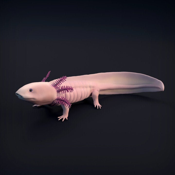 3D printed and self-painted axolotl mini figure - inspired by my