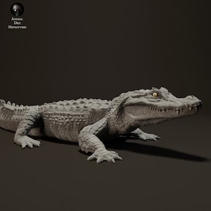 Caiman Sunbathing  - UNPAINTED -  Animal Den Miniatures