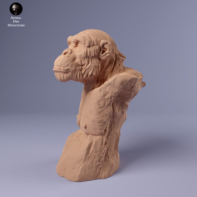 Chimpanzee Bust UNPAINTED Animal Den Miniatures image 4