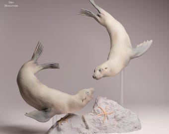 Cape Fur Seals swimming - UNPAINTED 3D Resin Print - Animal Den Miniatures
