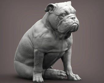 English Bulldog - UNPAINTED - Alexander3dart