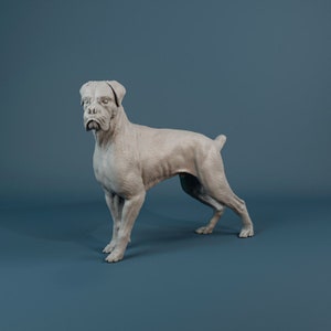 Boxer - Impresión/Figura de Resina 3D - Miniaturas de Dinosaurios y Perros