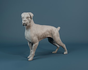 Boxer - 3D Resin Print/Figure - Dino and Dog Miniatures