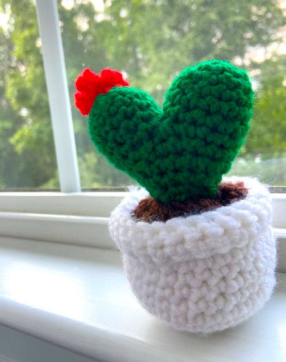 Little heart-shaped cactus with a flower