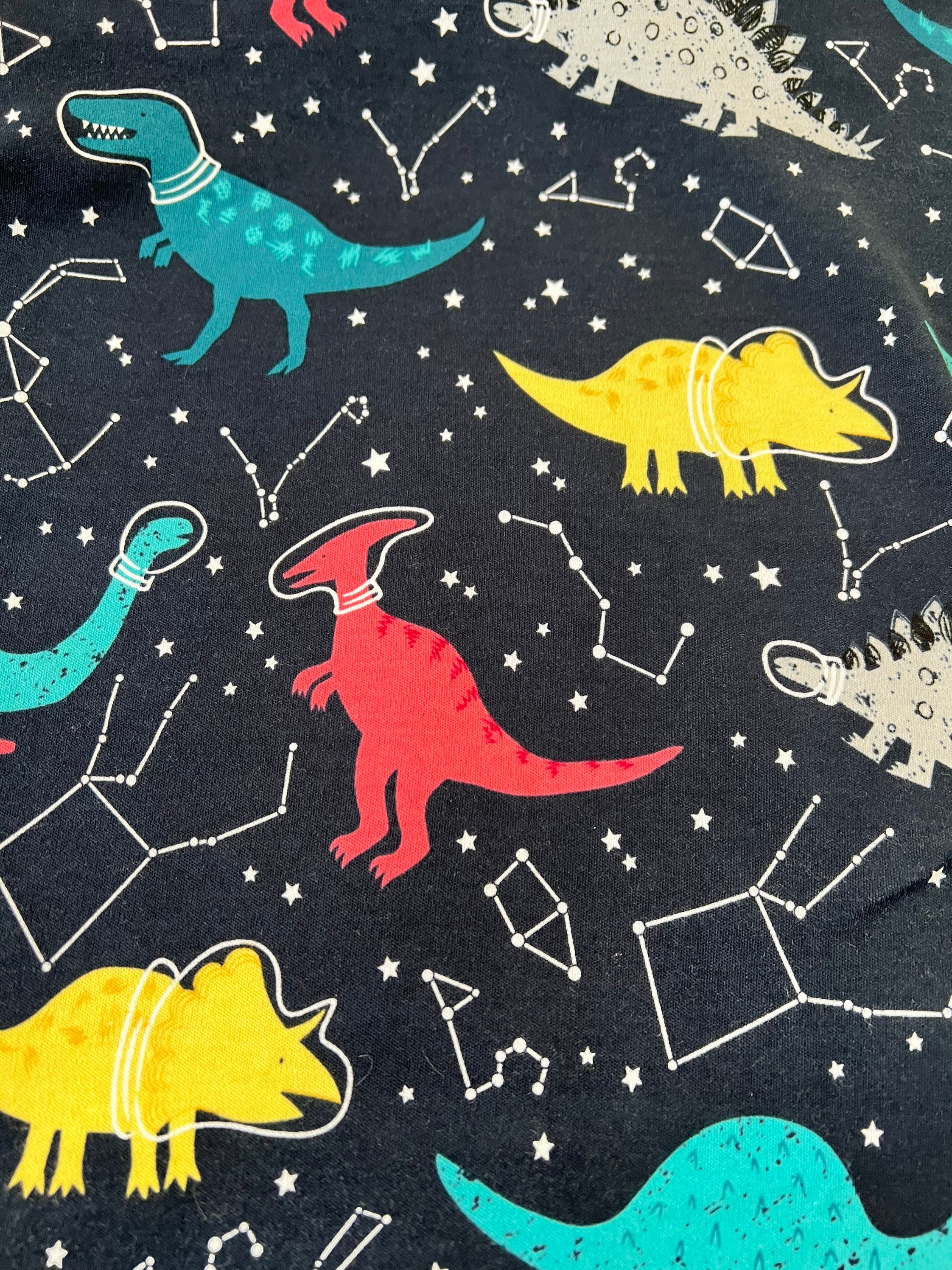 Dinosaur sleep 2025 sack