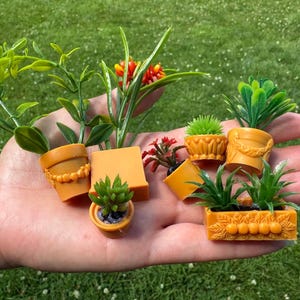 Miniature Potted Plants Set of 7 | 1:6 & 1\12 Scale Dollhouse Decor