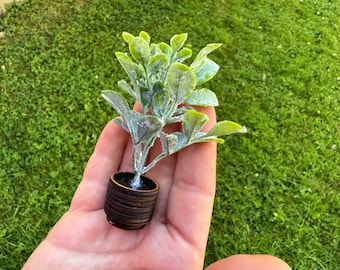 Miniature Green Plant in Pot | Dollhouse Decor 1:6 & 1\12 Scale | Mini Room Box Decoration