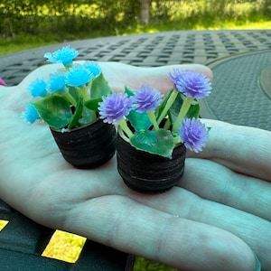 May include: Two miniature potted plants with blue and purple flowers. The small black pots have a ribbed texture. The flowers have green leaves and are set against a blurred outdoor background.
