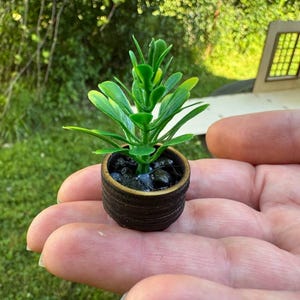 Pianta in vaso verde in miniatura / Decorazione per casa delle bambole e diorama 1:6 1\12