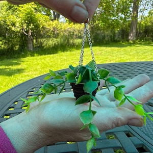 Hanging Miniature Green Plant in Pot – Porch & Balcony Decor for Dollhouse, Room box, Dioramas