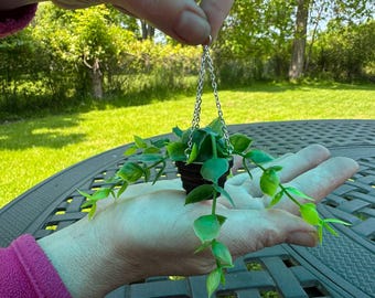 Hanging Miniature Green Plant in Pot – Porch & Balcony Decor for Dollhouse, Room box, Dioramas