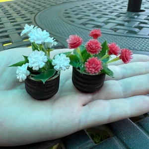 May include: Two miniature flower arrangements in small, dark brown pots. One features white flowers, the other has red flowers. The plants are held in a hand, showcasing the small scale of the floral decor.