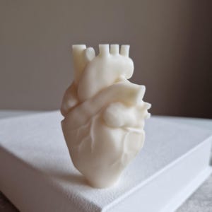 Kerze anatomisches Herz I Geschenk für Medizinstudenten I realistisches Herz I außergewöhnliche Kerze I Organ Kerze I Gothic Anatomie Herz