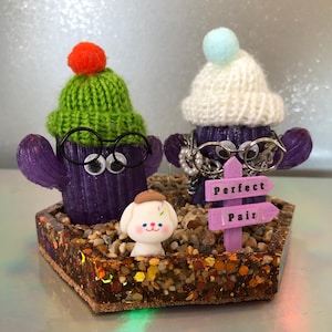 Personajes de cactus, escenas en miniatura, personas positivas, pareja perfecta con su perro. Envío incluido. Envuelto para regalo en una caja de celofán transparente.