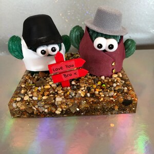 Personajes de cactus, escenas en miniatura, gente positiva, te amo, hermano, amigos. Envío incluido. Envuelto para regalo en una caja de celofán transparente.