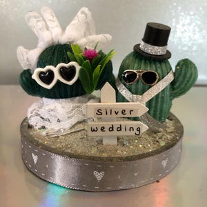 Personajes de cactus, escenas en miniatura, gente positiva, pareja de bodas de plata, amor. Envío incluido. Envuelto para regalo en una caja de celofán transparente.