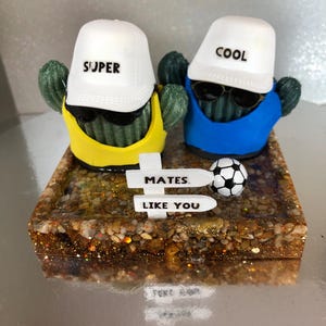 Personajes de cactus, escenas en miniatura, personas positivas, hermanos, compañeros, amigos. Envío incluido. Envuelto para regalo en una caja de celofán transparente.