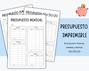 Personal Finances Planner - Income and Expenses in Spanish - Printable (PDF) Monthly Personal Budget Template A4