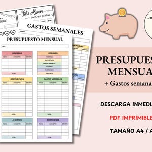 Financial Planner: Income and Expense Tracker in Spanish - Printable (PDF) A4 and A5 Monthly Personal Budget Template
