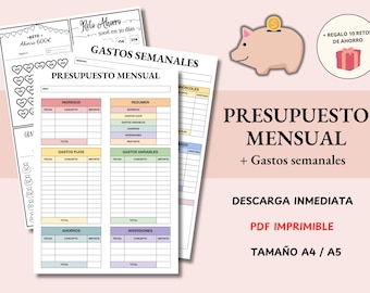 Financial Planner: Income and Expense Tracker in Spanish - Printable (PDF) A4 and A5 Monthly Personal Budget Template